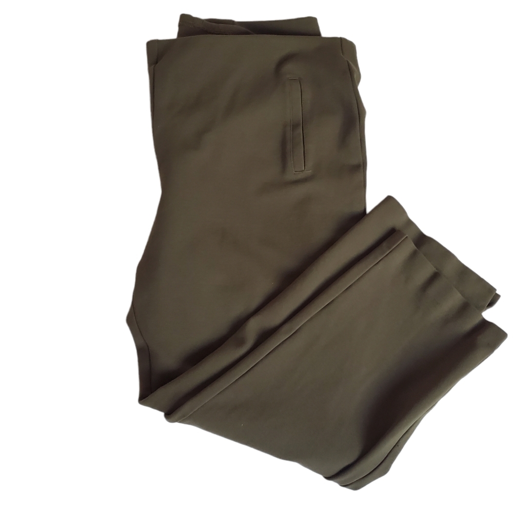 Chicos sage green pull on pants